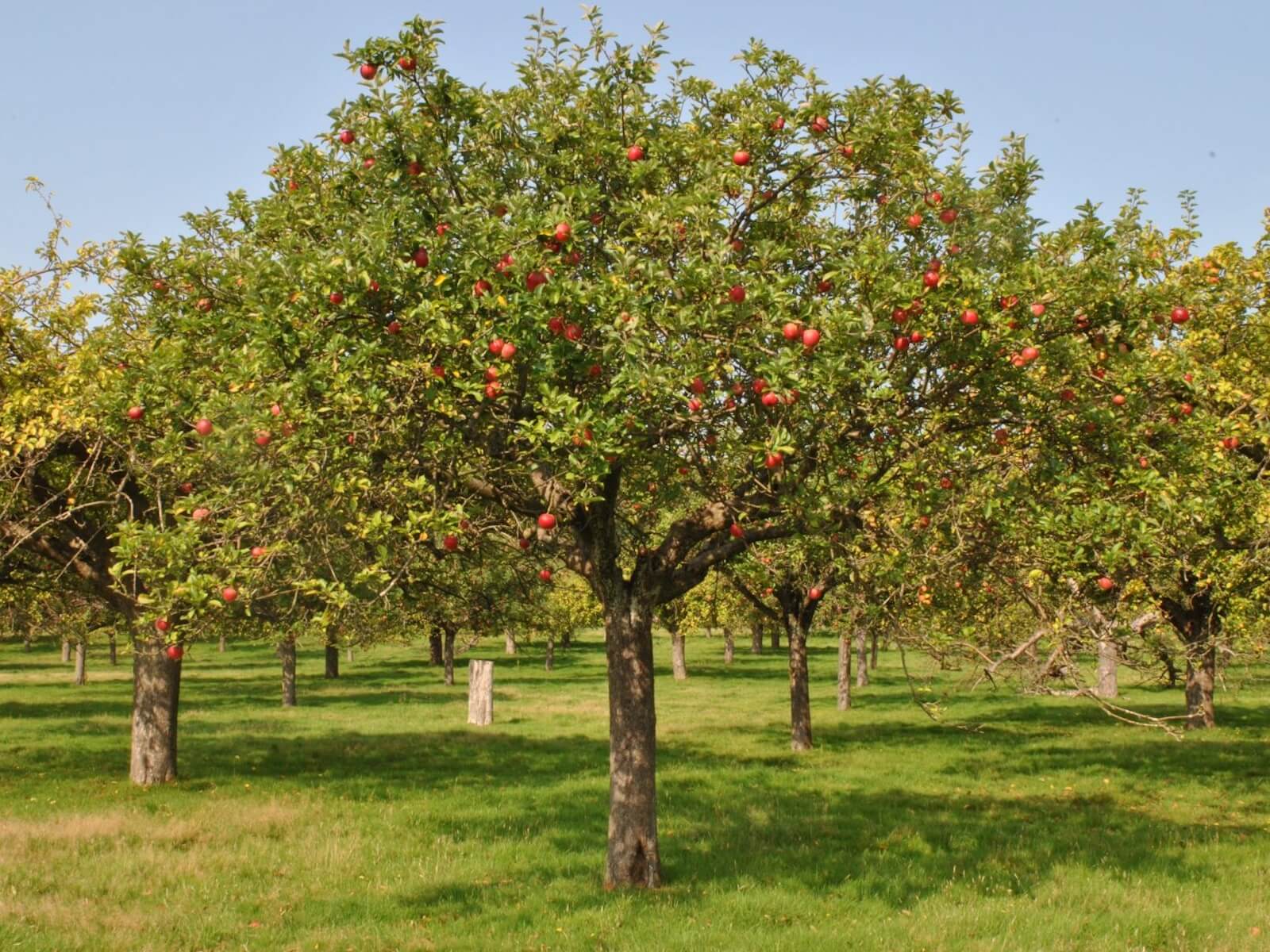 Landscape Led Design Image 4